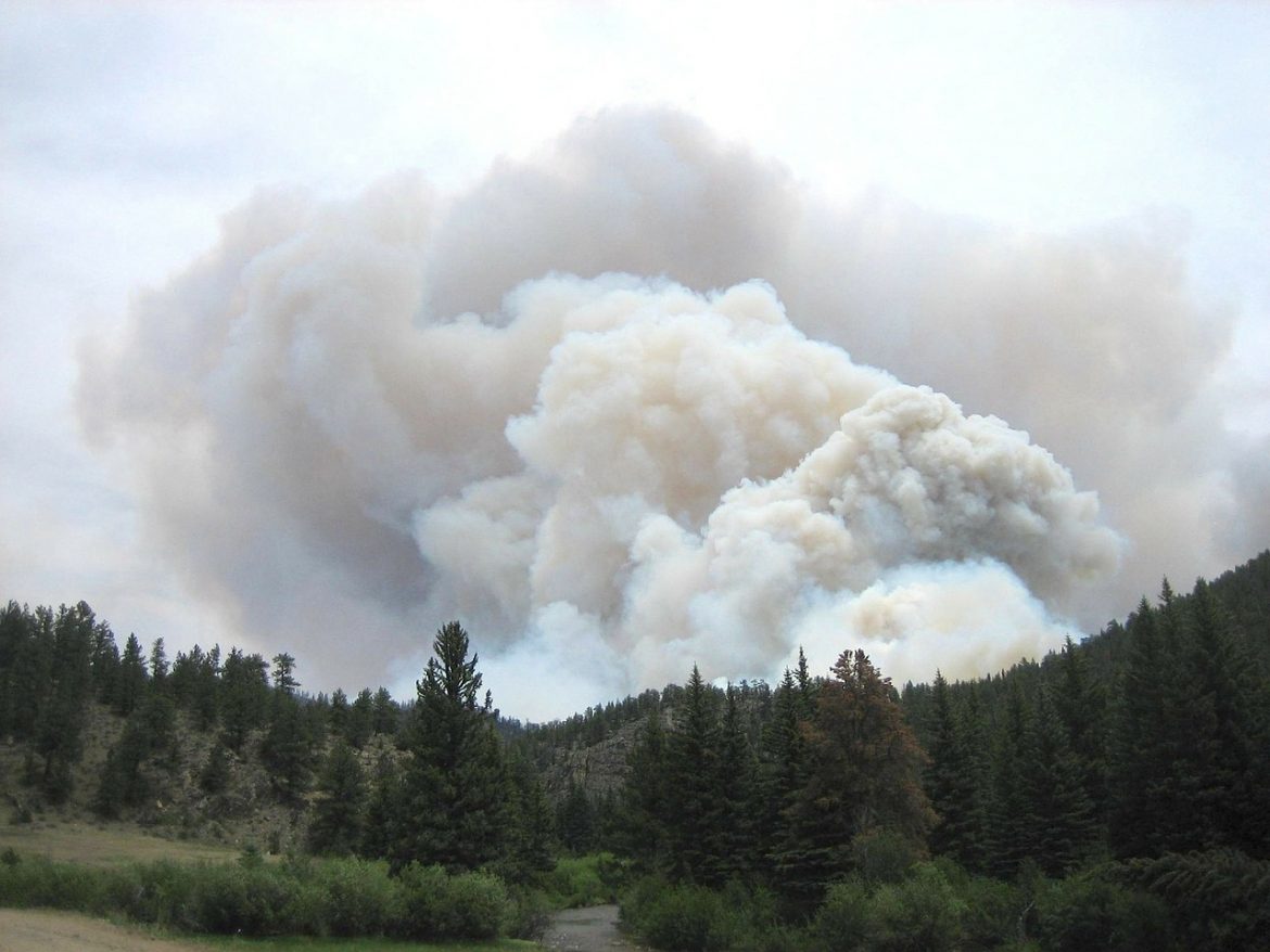 Canicule au Canada : comment Lytton, le village en proie à des températures flirtant avec les 50 °C, a été dévoré par les flammes